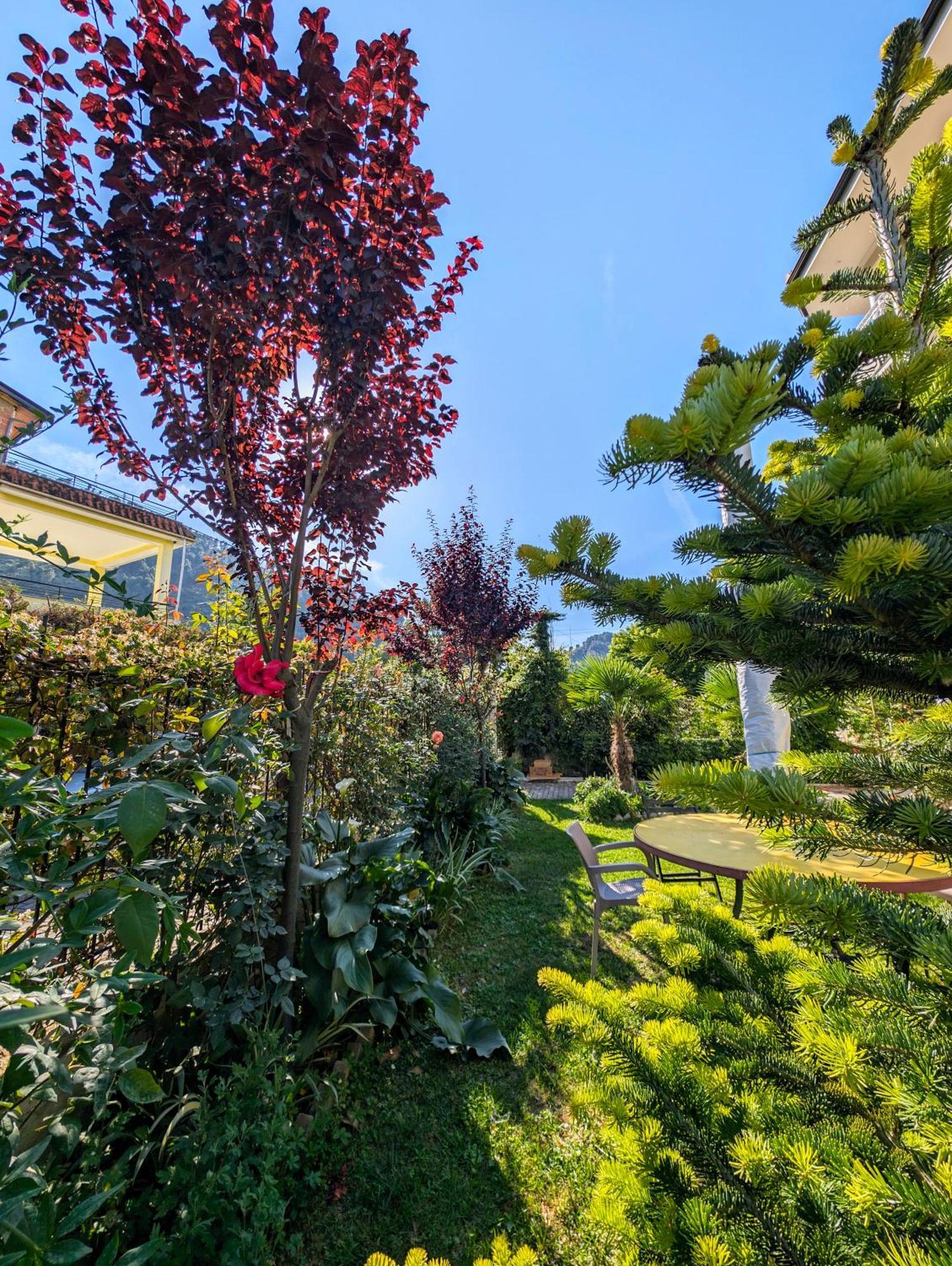 Villa With Garden And Veranda Berat Extérieur photo