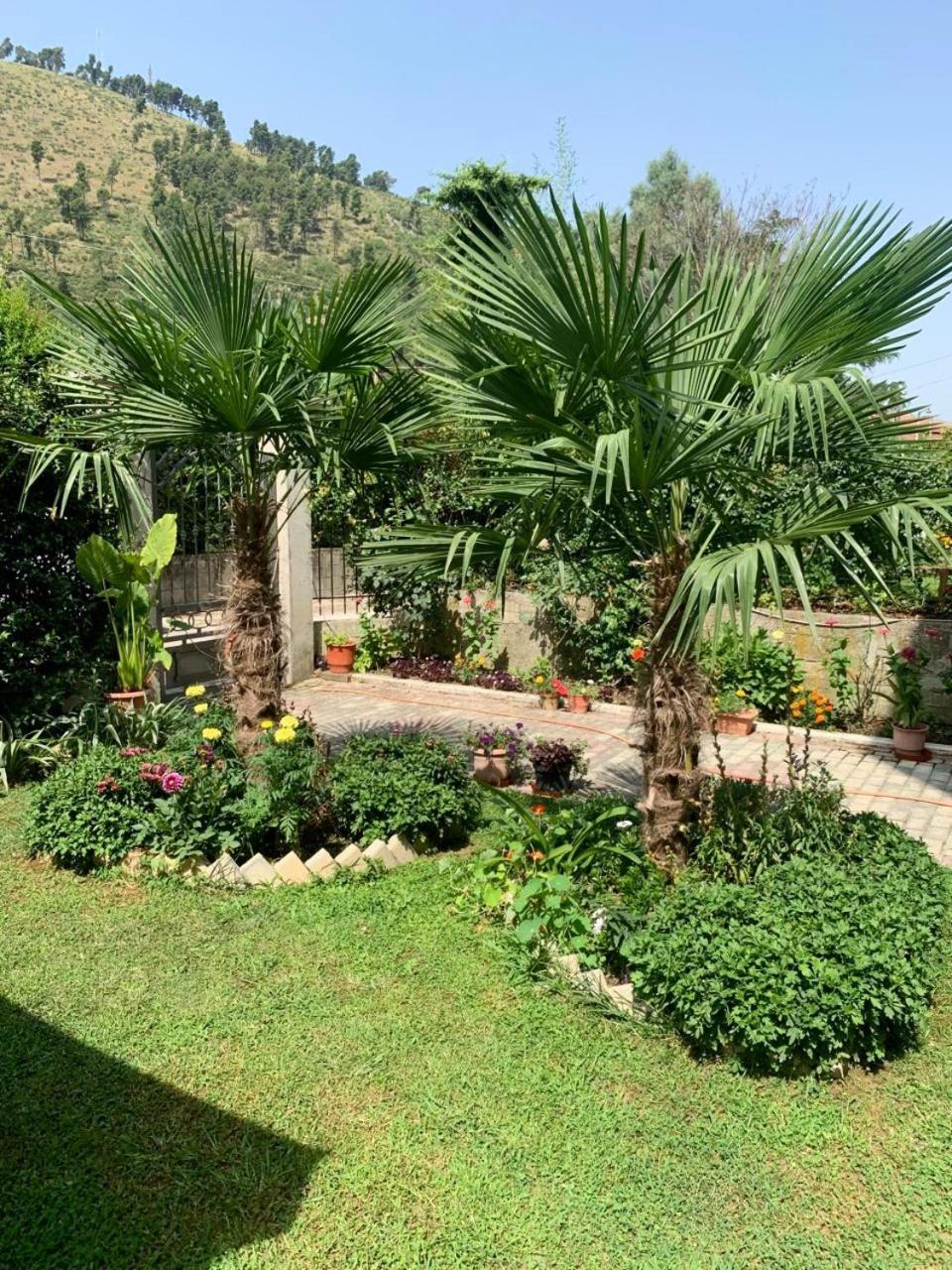 Villa With Garden And Veranda Berat Extérieur photo